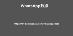 Whatsapp 數據