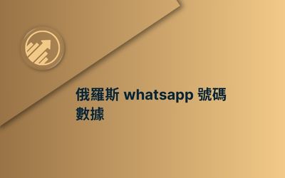 俄羅斯 whatsapp 號碼數據